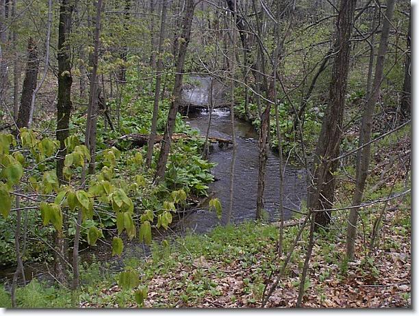 Click for the original image